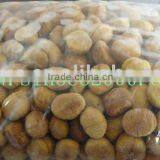 Chestnut Kernel thumbnail-1