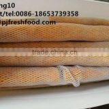 2016 new crop fresh chinese yam