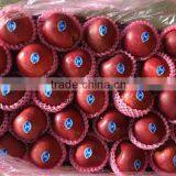 Chinese Fresh New Crop Red Delicious Apple Red Apple Huaniu Apple Apple Price Fresh Apple Fruit thumbnail-2