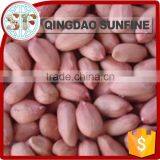 Price of Raw Peanut Seed Kernel thumbnail-1