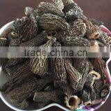 Dried Morels thumbnail-2