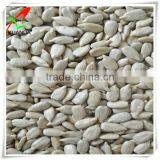 Sunflower Seed Kernels Bakery Supplier thumbnail-1