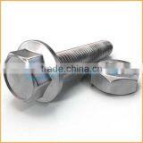 China Supplier Hex Bolt and Nut Class 12.9