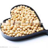 Automatic Grain Bag Filling Sealing Machine thumbnail-4