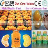 automatic fruit processing machine/line