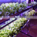 Mars-Hydro Led Grow Light Bar Strips Indoor Plant Led Grow Light thumbnail-3