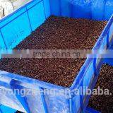 2.8 cm Reptiles Pet Food Dried Mealworms;China Products Dried Mealworms thumbnail-4