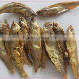 Dry Cat Food Pet Food Dried Fish thumbnail-2