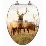 MDF Toilet Seat With Printing thumbnail-1