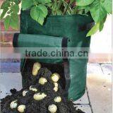 Hot Sale Flowers Pot (FP07) thumbnail-1