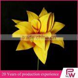 Wholesale Large Indoor Tropical Plants thumbnail-6