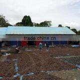 Sell Gracilaria, Eucheuma Spinosum And Eucheuma Cottoni Seaweeds thumbnail-5