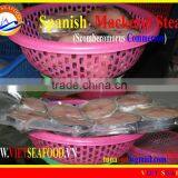 FROZEN STEAK SPANISH MACKEREL thumbnail-1