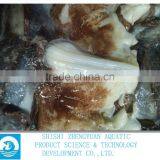 Frozen Peru Squid Neck(Giant Squid) thumbnail-1