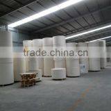 310GSM+15PE Paper Roll of Paper Cups thumbnail-1