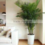 Decor Indoor Artificial Areca Tree Decoration Home Artificial Areca Tree Decor Indoor Office thumbnail-6