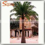 Hot Sale Artificial Outdoor Date Palm Trees Fiberglass 6 Meter for Palm Tree Wedding Decorations Tree thumbnail-4