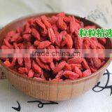 Super Grade Dried Organic Goji Berry Wolfberry Lycium Barbarum thumbnail-1