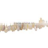 Shell Gemstone Loose Beads Irregular Natural thumbnail-2