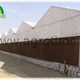 Multi Span Polycabonate Greenhouse thumbnail-1