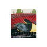 Multifunction Cleaning Sponge thumbnail-1