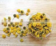 Chrysanthemum Tea Extracted From Chrysanthemum Flower the Optimal Choice for Your Health From Vietnam thumbnail-2