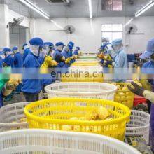 Small Scale Pineapple Jam Processing Plant thumbnail-2