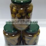 Pickled baby cucumber/ cucumber cheap for importer