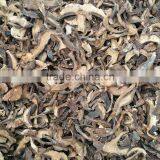 Chinese Dried Porcini Mushroom Slices From LIANFENG Factory