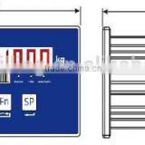 SQ1000 Control Monitor weighing indicator