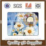 2015 Plastic Custom 3D Effect Pictures Dinning Table Mat for Wholesale thumbnail-3