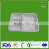 Wholesale Good Quality Biodegradable Disposable Food Container Malaysia thumbnail-4