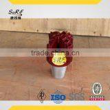 Four Wing Stepped Type-6 1/8", 3 1/2" API Reg Pin, Stepped, Tungsten Inserts