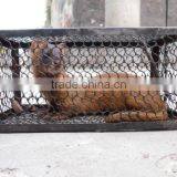 Tagar Cage Wire Mesh