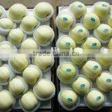 good quality golden delicious apple china bagged golden apples