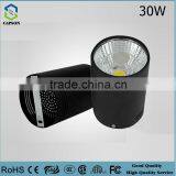 3years Rosh CE Auminum Downlight LED 30W Slim Led Down Light