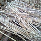 Wooden Stick Eucalyptus thumbnail-6