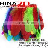 Top Supplier ZPDECOR Bulk Sale Best Quality Colorful Design Trim Goose Trimming Feathers thumbnail-6