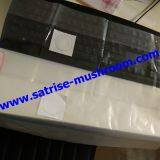 Mushroom Spawn Bag Grow Mushrooms From Spores Shiitake Growing Spawn thumbnail-4