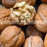 China Walnuts in Shell or Kernel s Ogood Quality