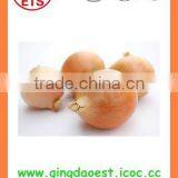 2016 BUlk MARKET PRICE Fresh Yellow Onion thumbnail-1