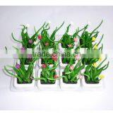 Artificial Mini Green Bonsai With Mini White Potted For House Decoration And Craft Gifts