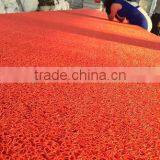 Anti-dust/anti-slip Pvc Coil Rug Mat /pvc Floor Carpet thumbnail-2