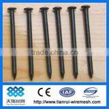 Concrete Steel Nail/nail/common Nail Iron Nail Factory thumbnail-1