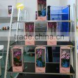 Tall Metal Flower Display Stand thumbnail-4