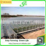 Greenhouse Glass Cover for Sale thumbnail-2