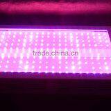 High Quality Greenhouse Cheap 600w Led Grow Lights for Sale thumbnail-4