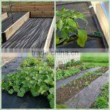 Organic Weed Barrier thumbnail-4