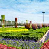 Factory Artificial Grass Topiary China/manufacture Fake Grass Animal thumbnail-4