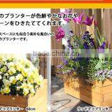 Solid Wooden Flowerpot With thumbnail-3